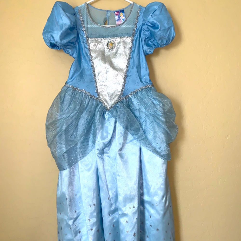 Disney Cinderella Costume